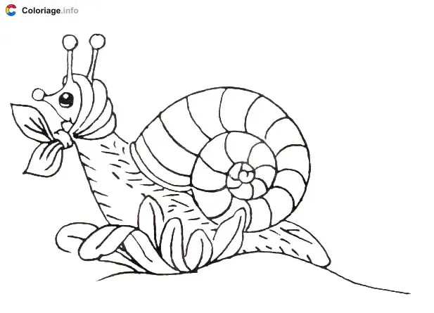 Snail with a Scarf coloring page to print