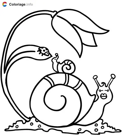 Snails and Flower coloring page to print