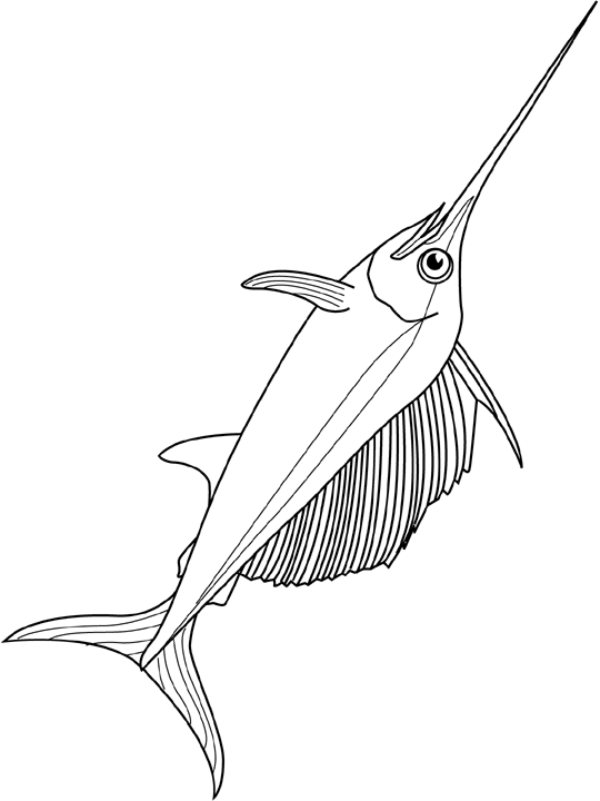 Swordfish coloring page to print