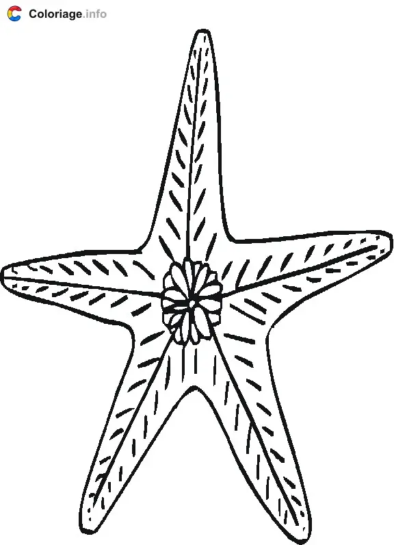 Starfish with Flower coloring page to print