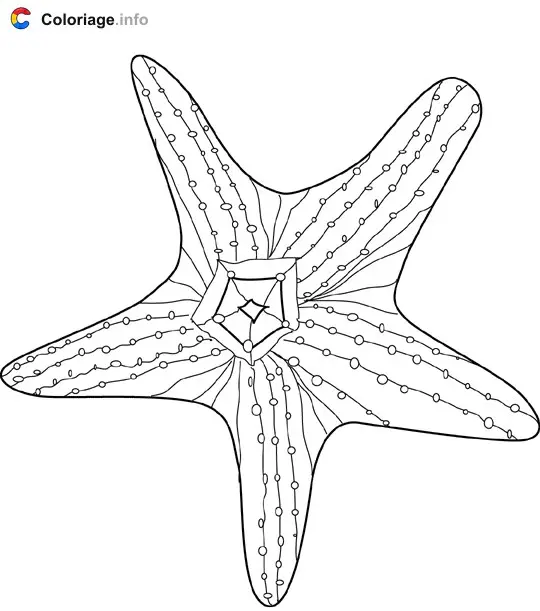 Starfish with Outlines coloring page to print