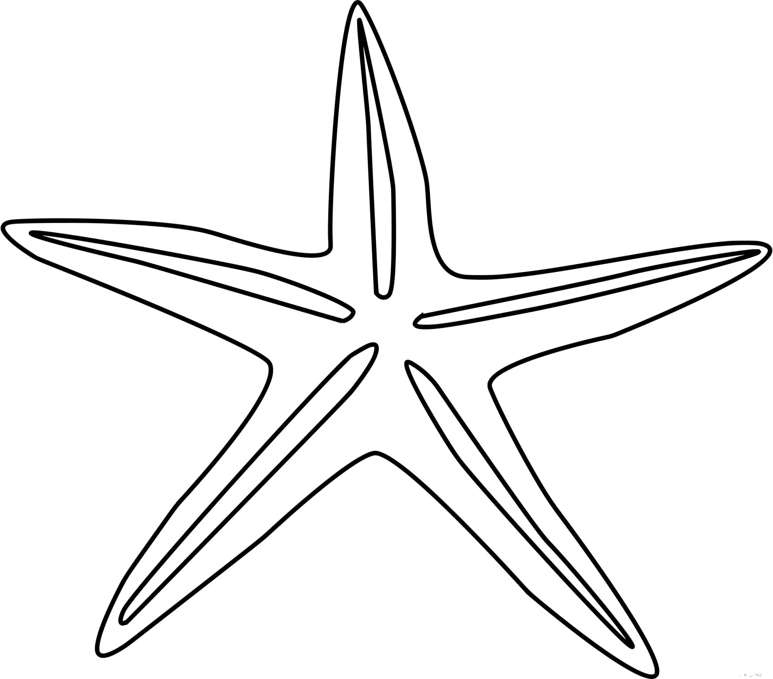 Coloriage Étoile de Mer Simple - Étoile de mer à imprimer