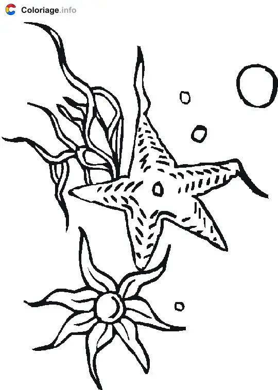 Starfish in the Sea coloring page to print