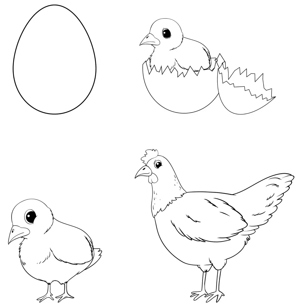 Disegno di Evoluzione dell'uovo, del pulcino e della gallina da stampare