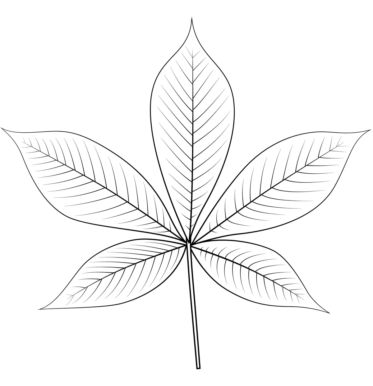 Ohio Buckeye Leaf coloring page to print