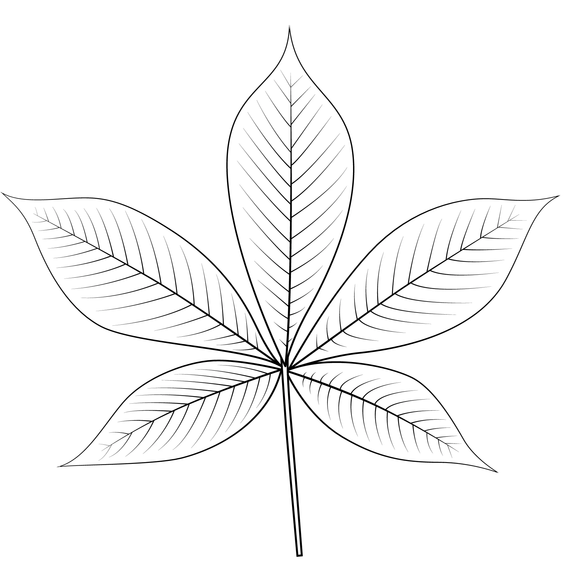 Coloriage Feuille De Buckeye De Ohio - Feuille automne à imprimer