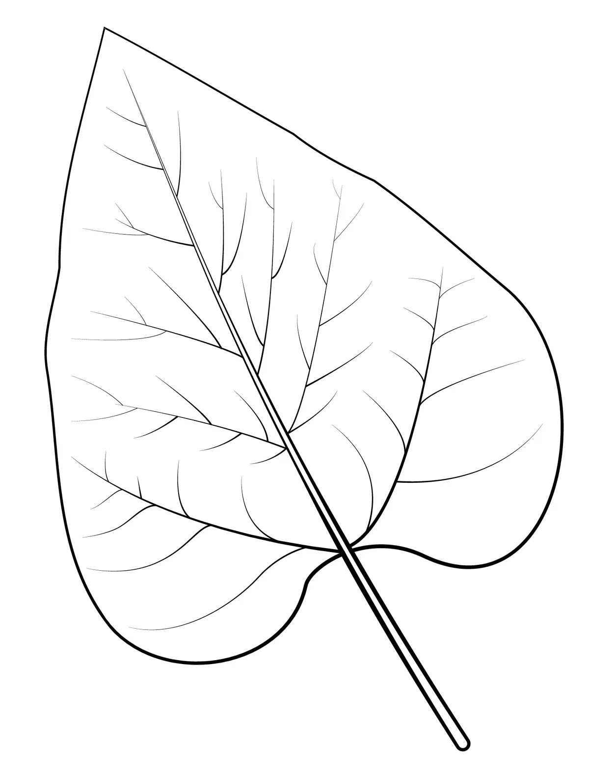 Northern Catalpa Leaf coloring page to print