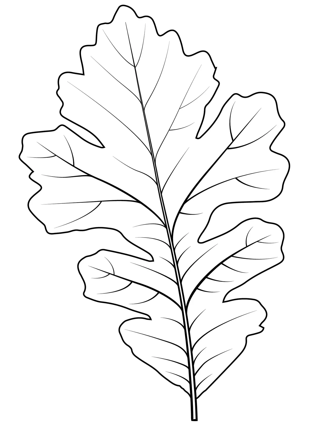 Oak Leaf with Big Acorns coloring page to print