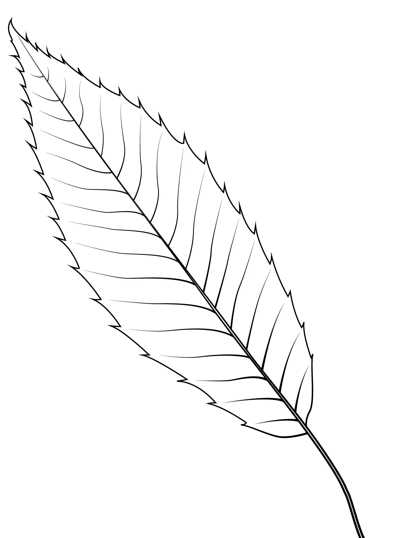 Coloriage Feuille De Chene En Dents De Scie - Feuille automne à imprimer