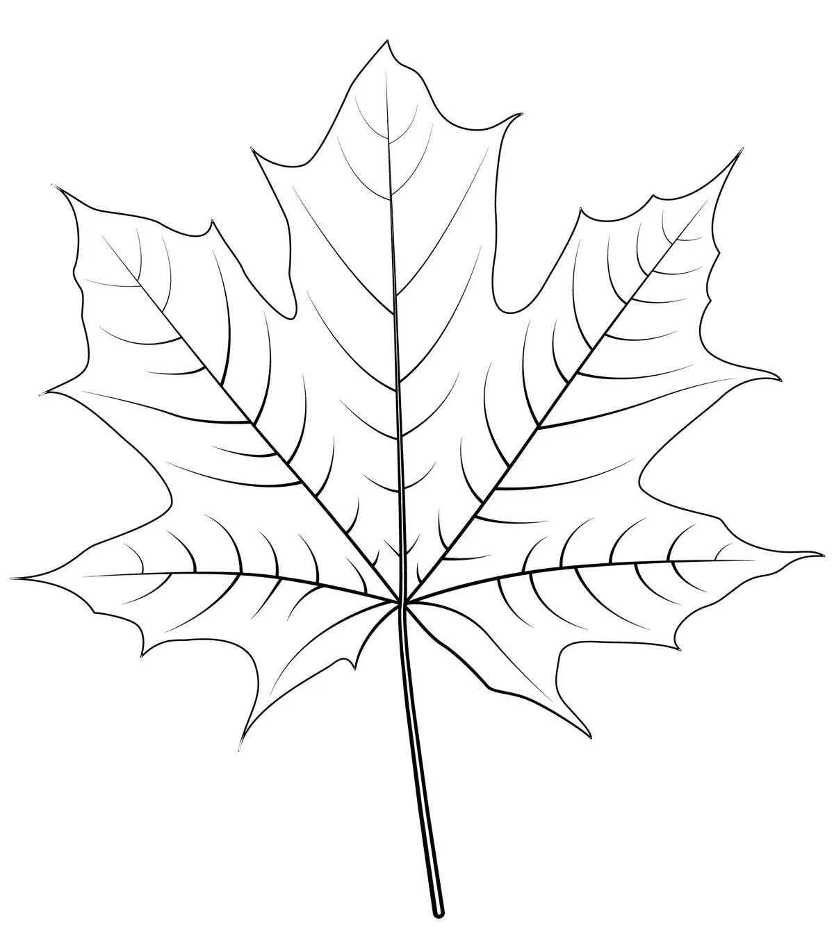 Norway Maple Leaf coloring page to print