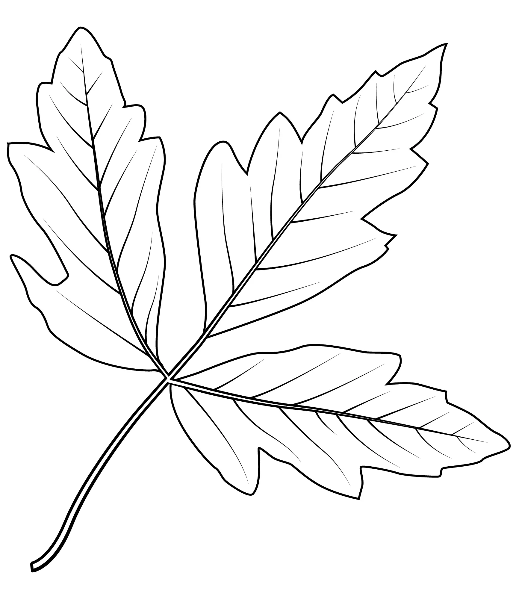 Coloriage Feuille Érable En Ecorce - Feuille automne à imprimer