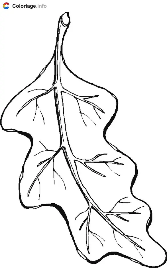 Coloriage Feuille morte - Automne à imprimer
