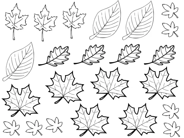 Kleurplaat Herfstbladeren om te printen