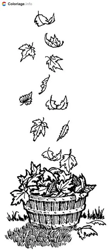 Coloriage Feuilles mortes qui tombent dans un panier - Automne à imprimer