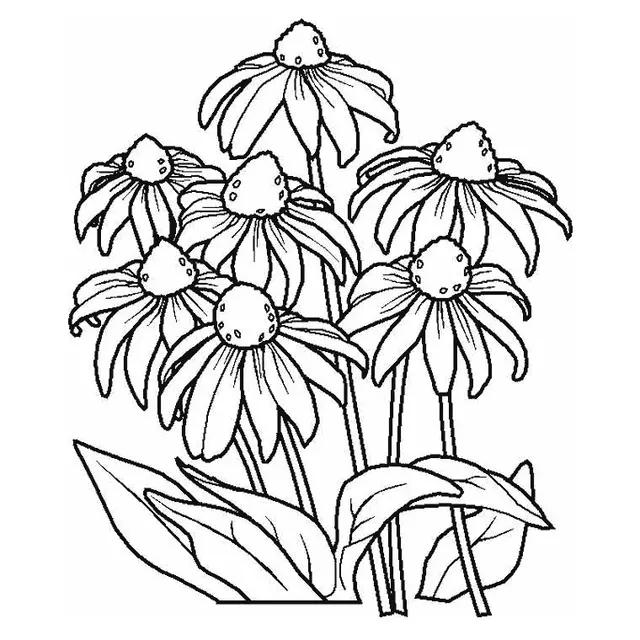 Coloriage Fleur Marguerite - Fleurs à imprimer