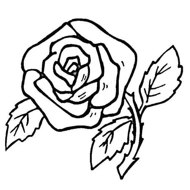 Coloriage Fleur Rose - Fleurs à imprimer