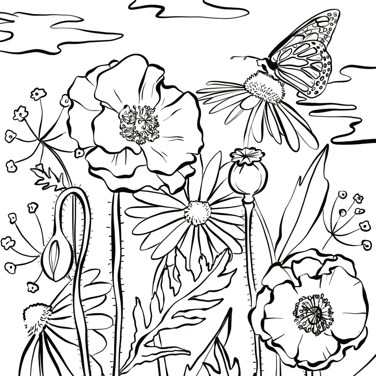 Disegno di Fiori di tulipani e Tulipa pulchella da stampare