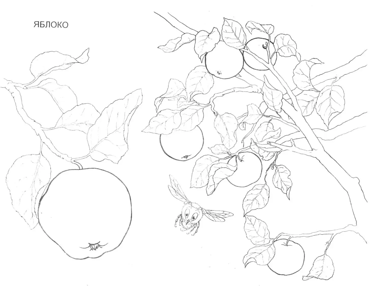 Coloriage Banane courbe avec texture granuleuse - Fruits à imprimer