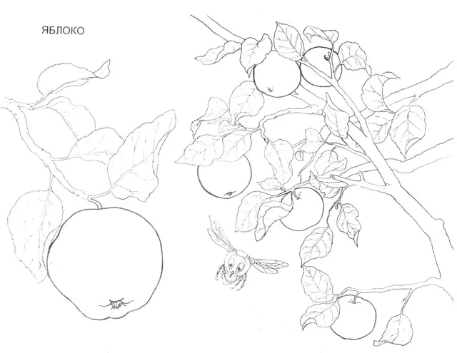 Coloriage Banane courbe avec texture granuleuse - Fruits à imprimer
