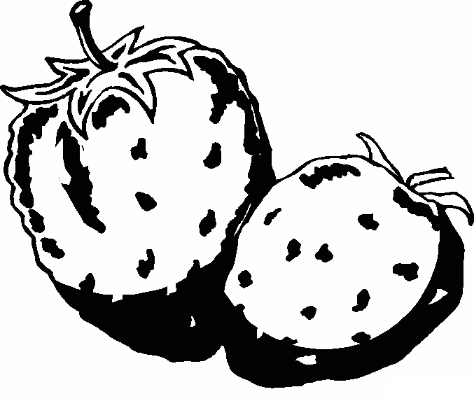Disegno di Due Fragole – Disegno di Frutta da stampare