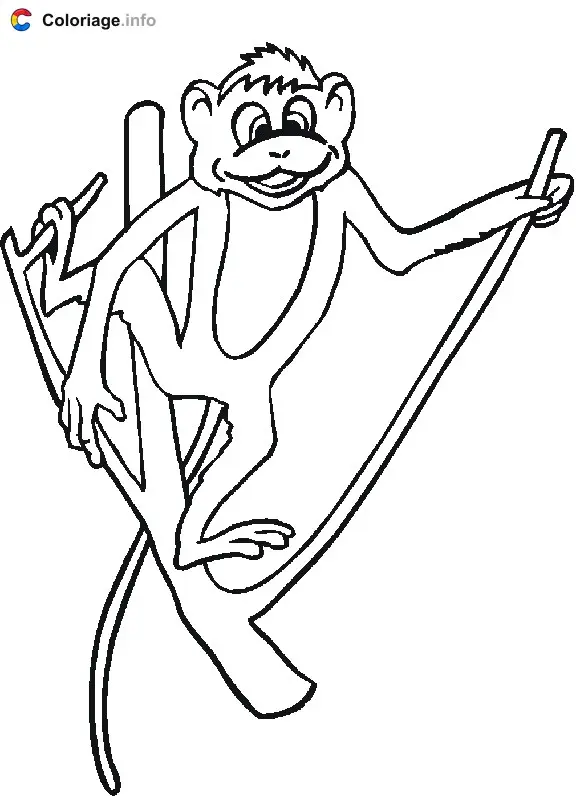 Monkey on a Branch coloring page to print