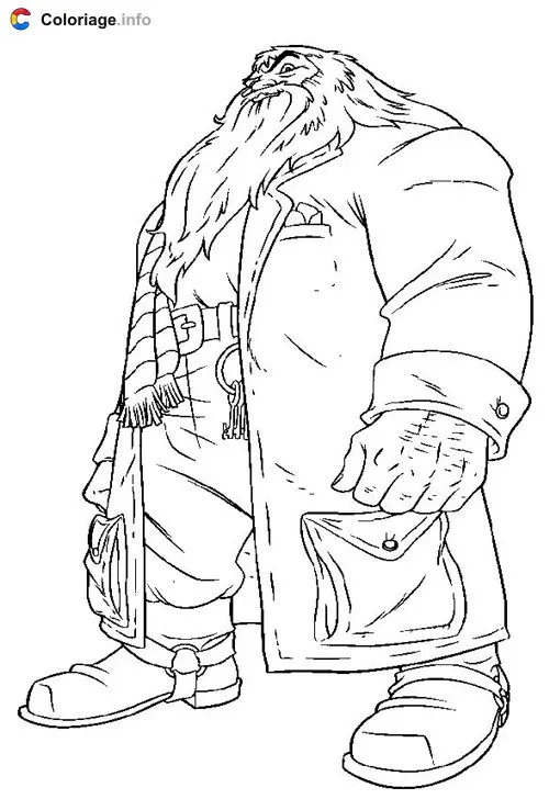 Coloriage Hagrid - Harry potter à imprimer