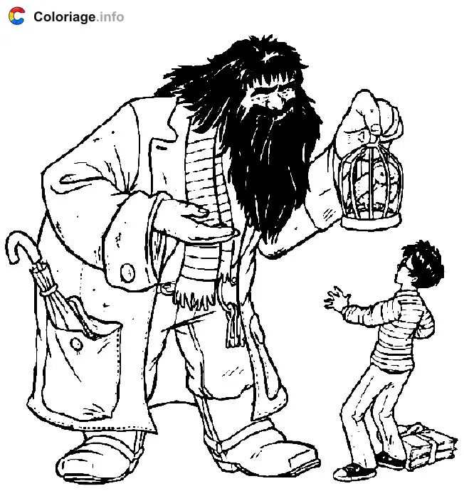 Coloriage Hagrid donne la chouette Hedwige a Harry Potter - Harry potter à imprimer