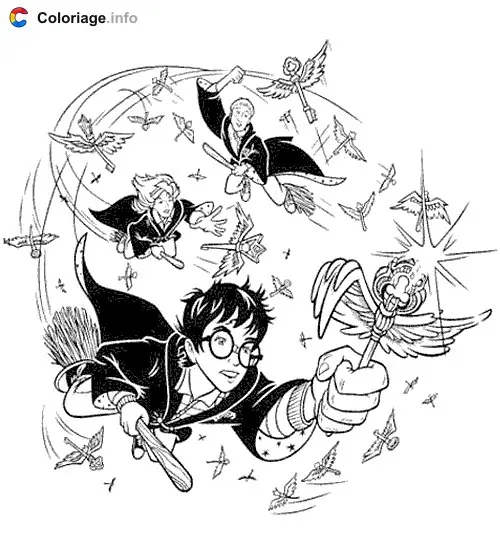 Harry Potter Playing Quidditch coloring page to print