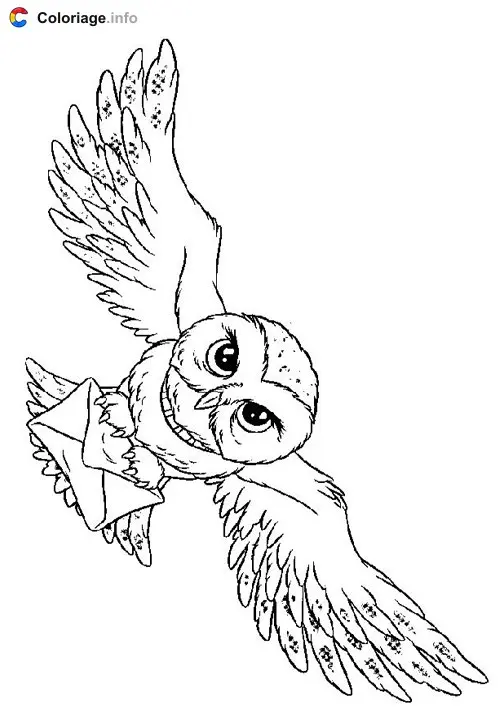 Coloriage Hedwige - Harry potter à imprimer
