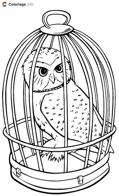 Coloriage Hedwige chouette en cage - Harry potter à imprimer