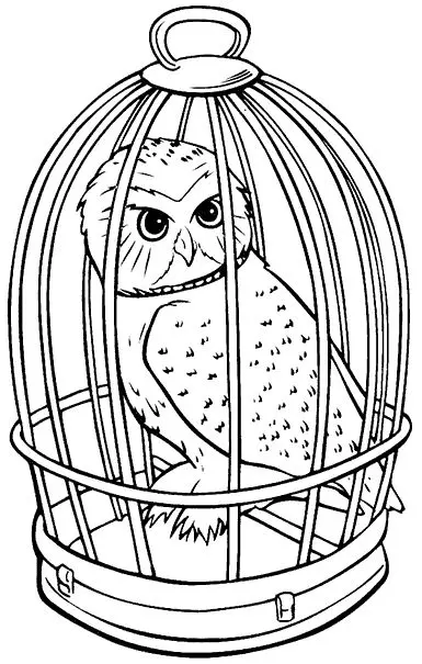 Coloriage Hedwige Chouette En Cage - Harry potter à imprimer
