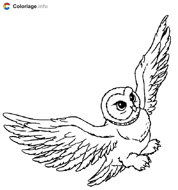 Coloriage Hedwige vole - Harry potter à imprimer