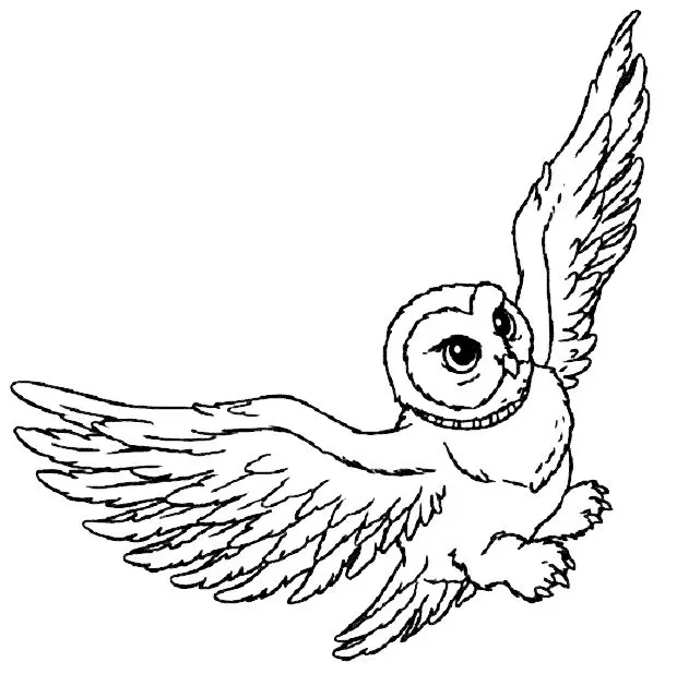 Coloriage Hedwige Vole - Harry potter à imprimer