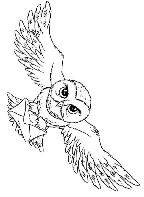 Coloriage Hedwige - Harry potter à imprimer