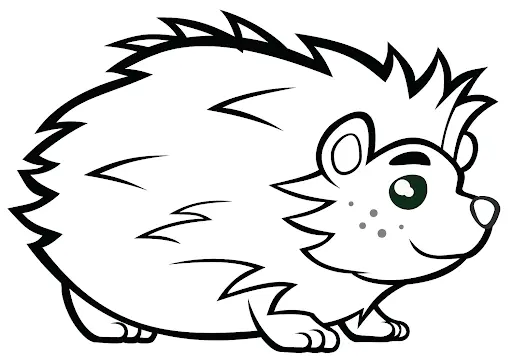 Coloriage Hérisson Avec De Beaux Yeux Animal Mignon - Hérisson à imprimer