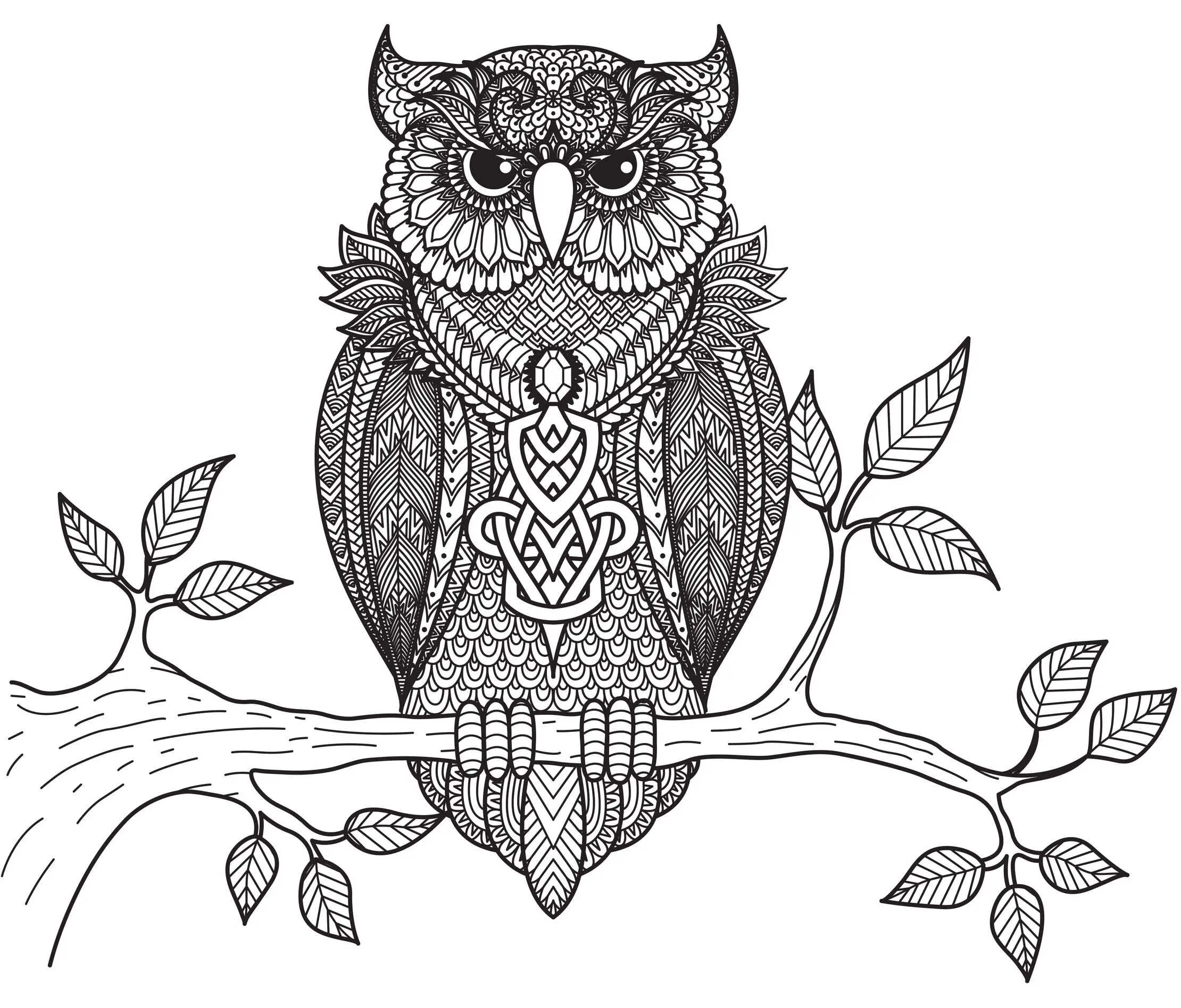 Coloriage Hibou Animaux Adulte Anti Stress Par Bimbimkha - Adulte à imprimer