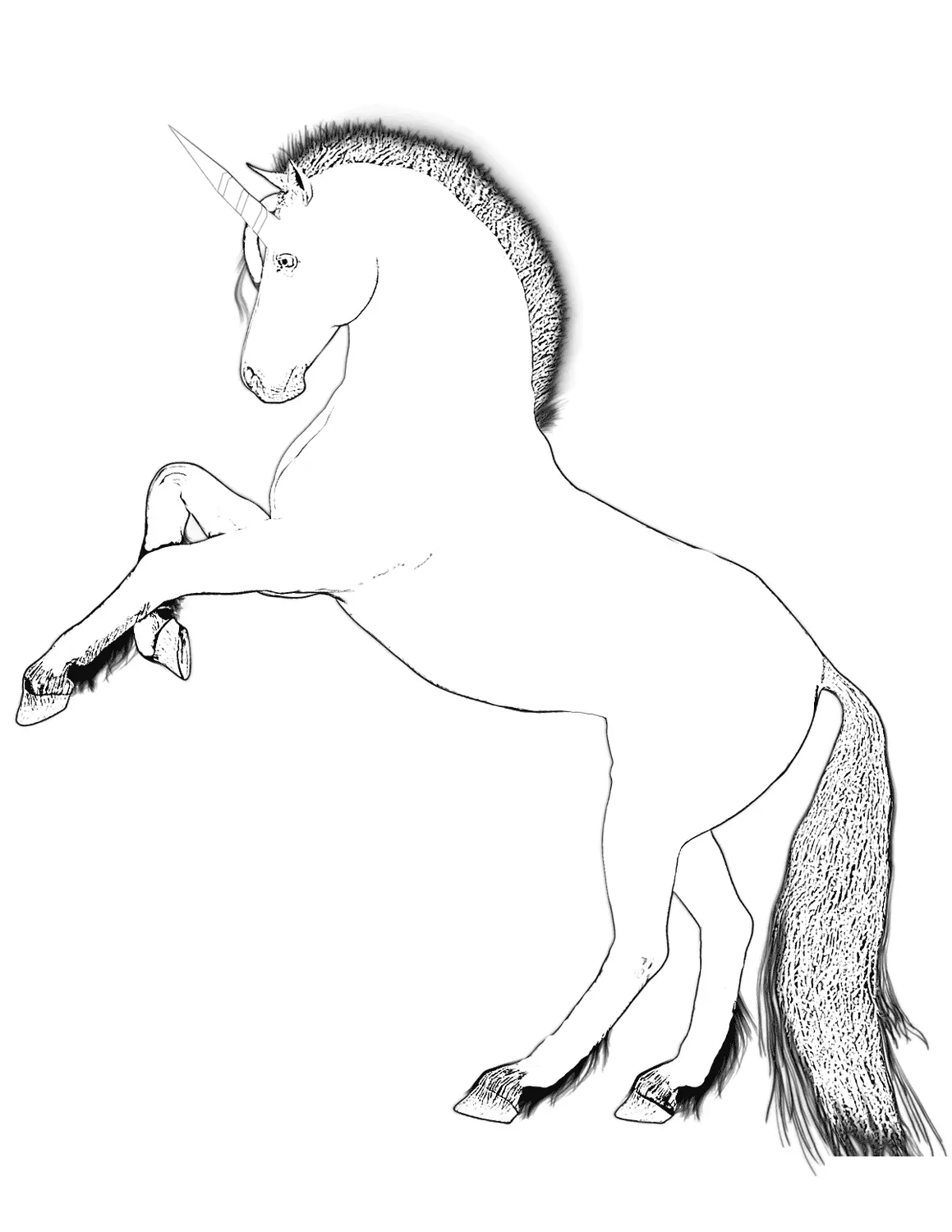 Disegno di Unicorno con il corno dritto da stampare