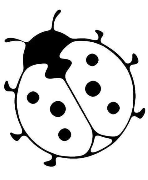 Coloriage Insecte Coccinelle - Coccinelle à imprimer