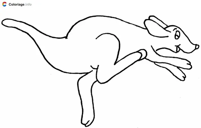 Coloriage Kangourou qui saute - Kangourou à imprimer