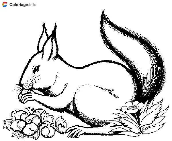 Squirrel Hiding Nuts in the Garden coloring page to print