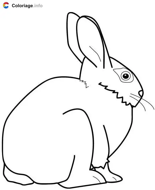 Rabbit from Behind coloring page to print
