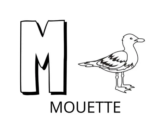 Coloriage Lettre M Comme Mouette - Alphabet des animaux à imprimer