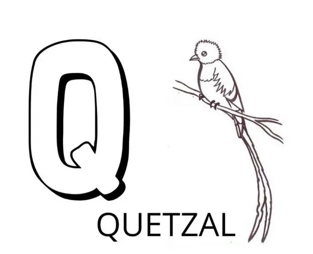 Q is for Quetzal coloring page to print