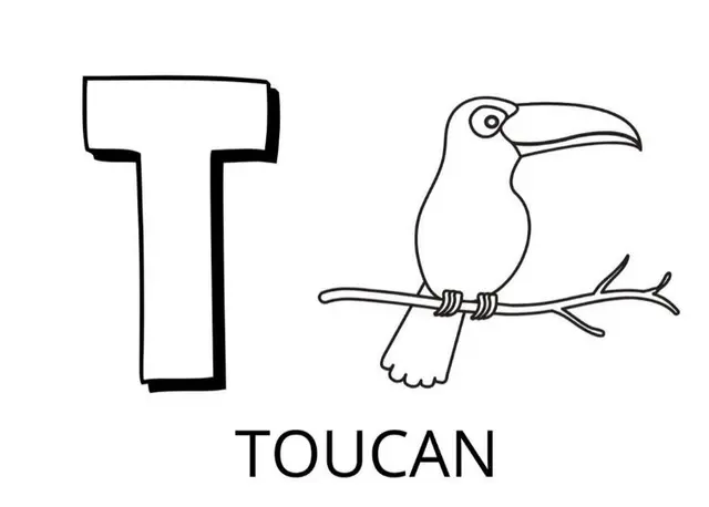 T is for Toucan – Animal Alphabet coloring page to print