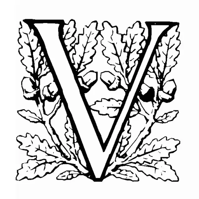 Coloriage Lettre V - Alphabet à imprimer