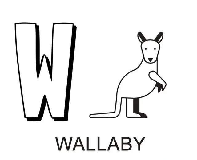W Is for Wallaby coloring page to print