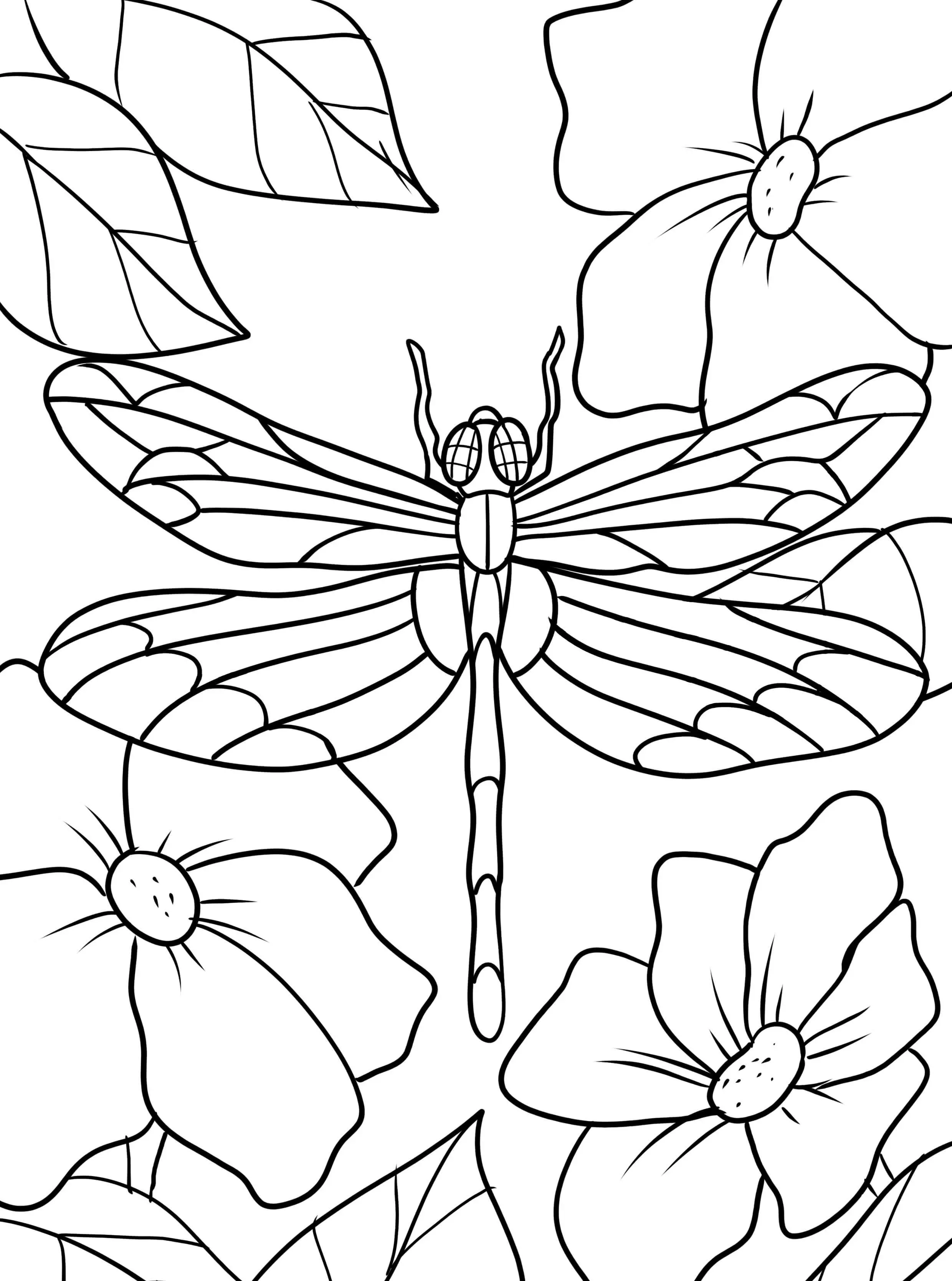 Coloriage Libellule Et Des Fleurs - Libellule à imprimer