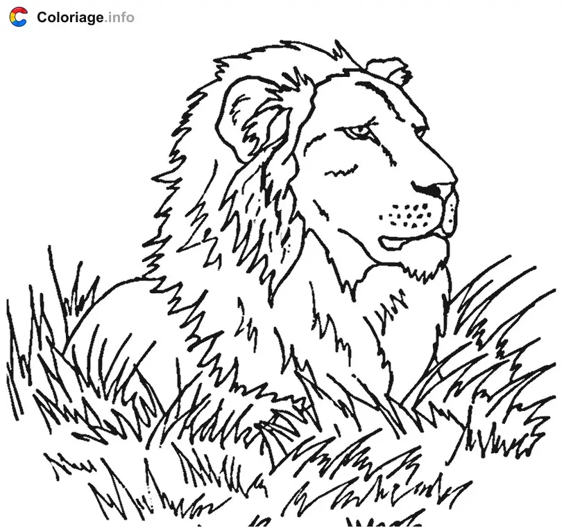Coloriage Lion dans la savanne - Lion à imprimer