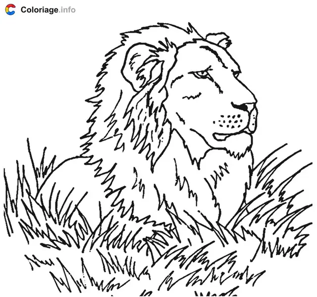 Coloriage Lion dans la savane - Lion à imprimer