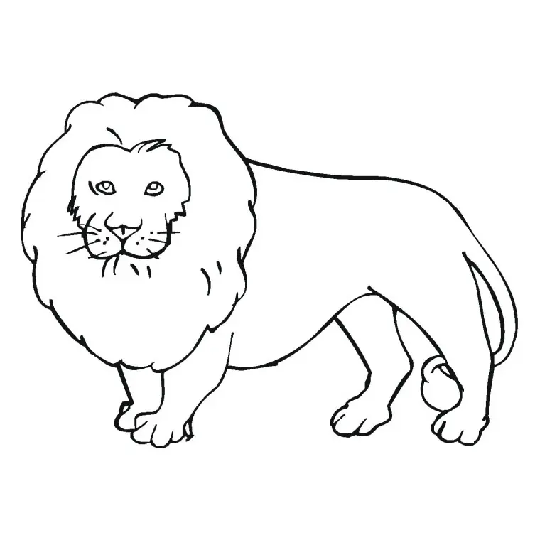 Coloriage Lion Majestueux - Animaux à imprimer